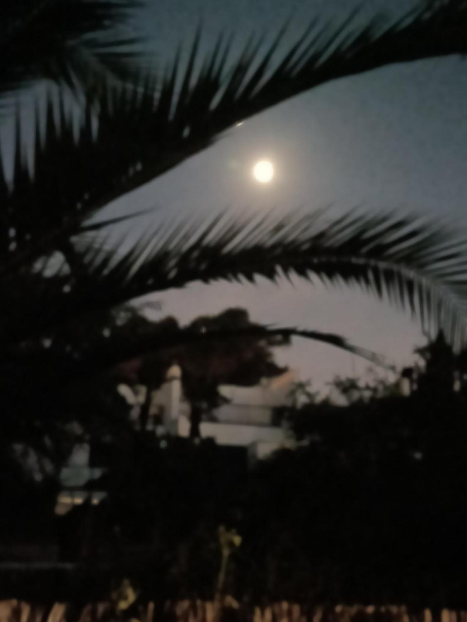 Casa Lua Διαμέρισμα Conil De La Frontera Εξωτερικό φωτογραφία